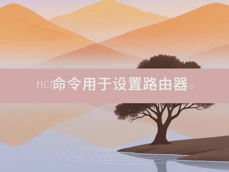 nc|命令用于设置路由器。