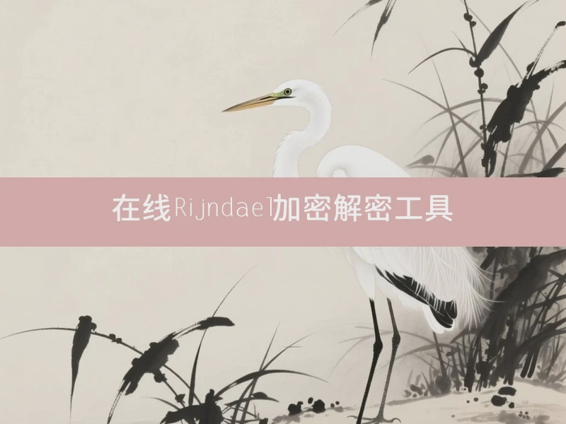 在线Rijndael加密解密工具