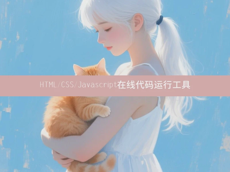 HTML/CSS/Javascript在线代码运行工具