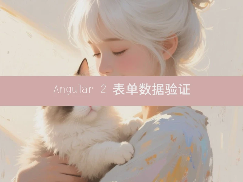 Angular 2 表单数据验证