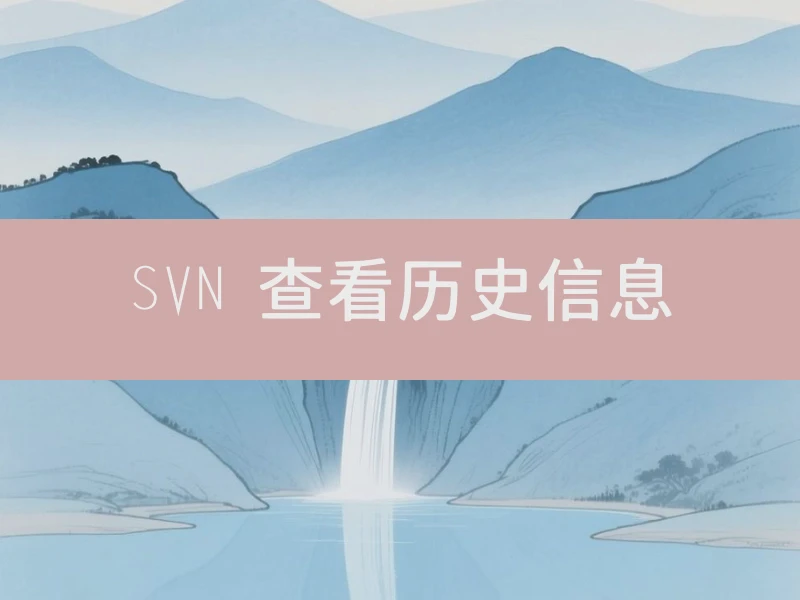 SVN 查看历史信息