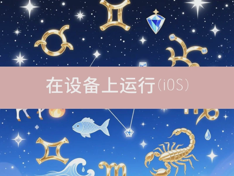 在设备上运行(iOS)