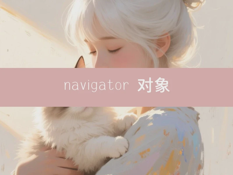 navigator 对象