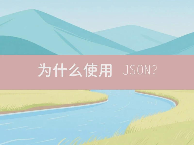 为什么使用 JSON？