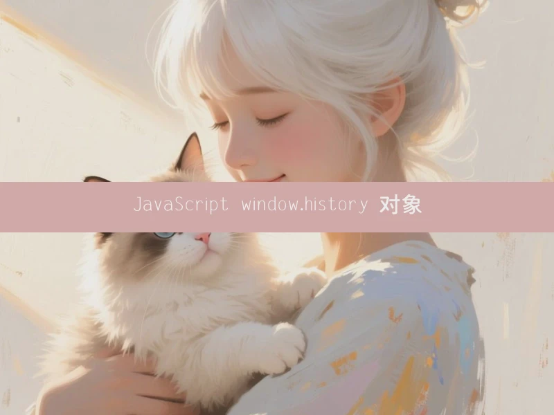 JavaScript window.history 对象
