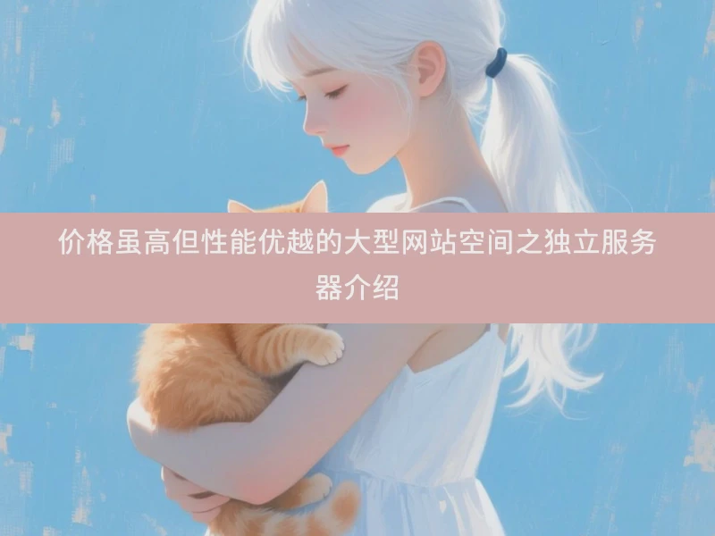 价格虽高但性能优越的大型网站空间之独立服务器介绍