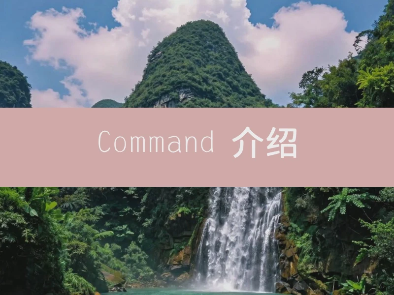 Command 介绍