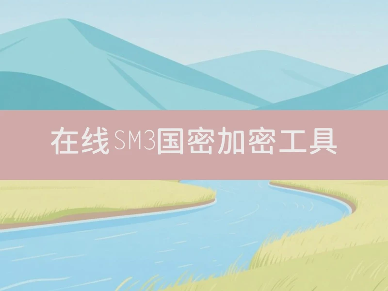 在线SM3国密加密工具