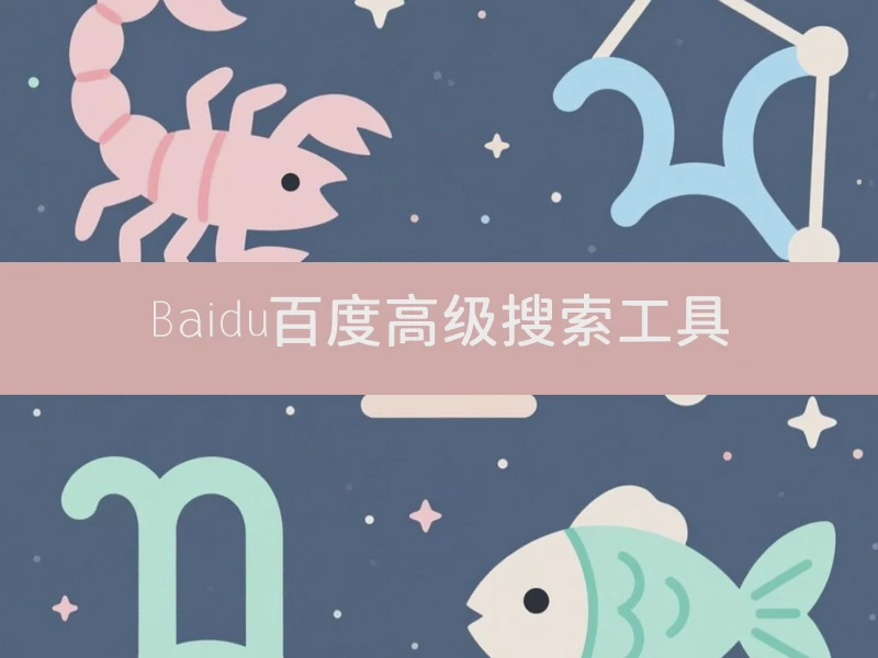 Baidu百度高级搜索工具