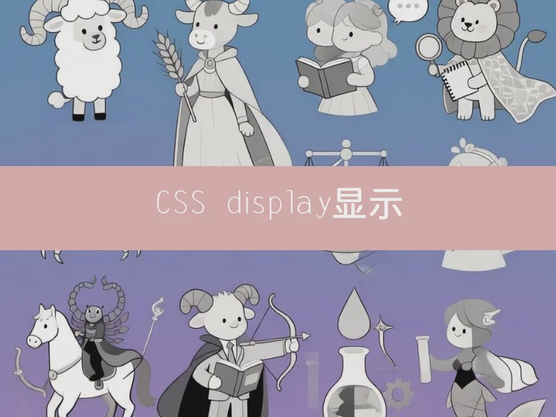 CSS display显示