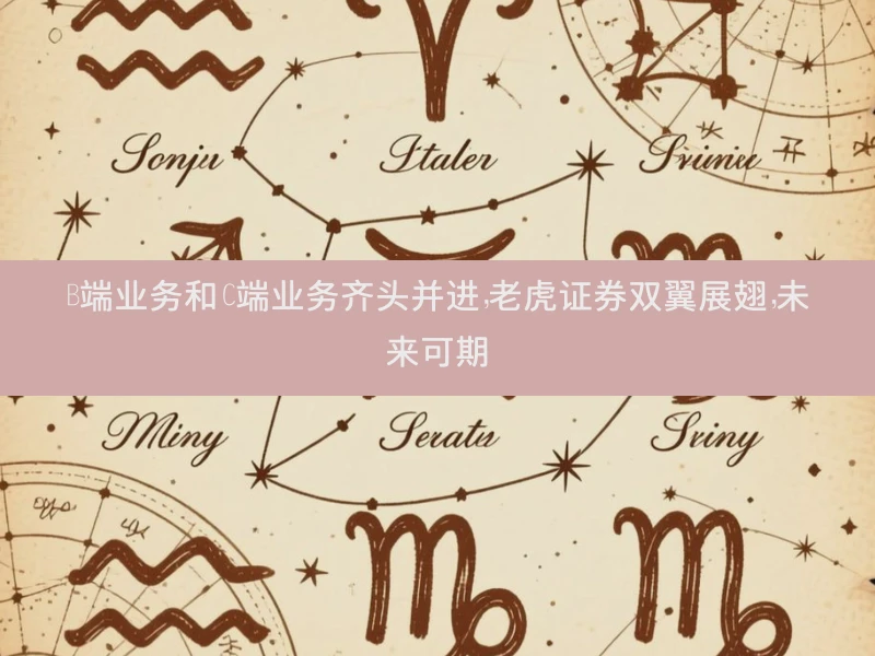 B端业务和C端业务齐头并进，老虎证券双翼展翅，未来可期