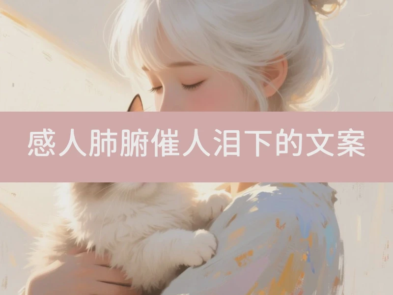 感人肺腑催人泪下的文案