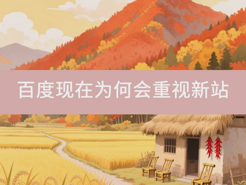 百度现在为何会重视新站