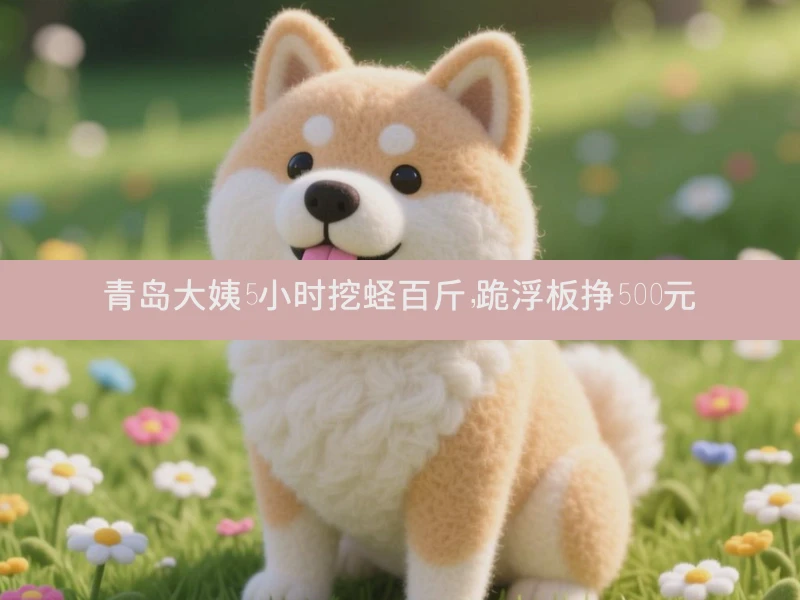 青岛大姨5小时挖蛏百斤，跪浮板挣500元