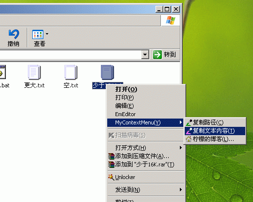 (C#)Windows Shell 外壳编程系列7 