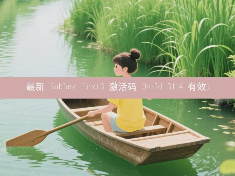 最新 Sublime Text3 激活码 (Build 3114 有效)
